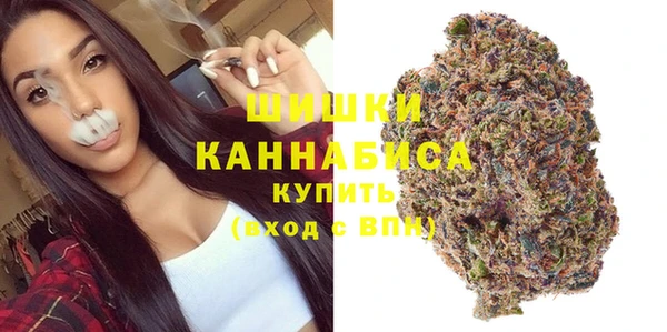 Альфа ПВП Бугульма